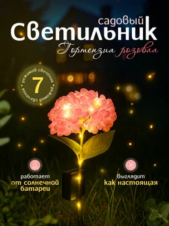 Отзыв на 