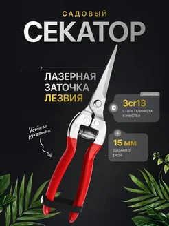 Распродажа 