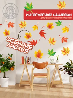 Отзыв на 