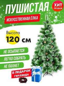 Отзыв на 