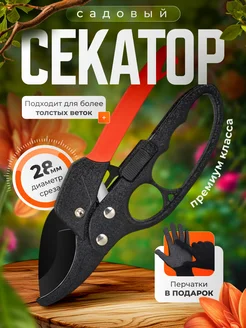Распродажа 
