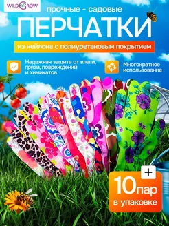 Отзыв на 
