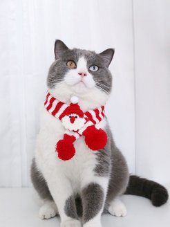 Скидка на новогодний костюм для домашних животных шарф