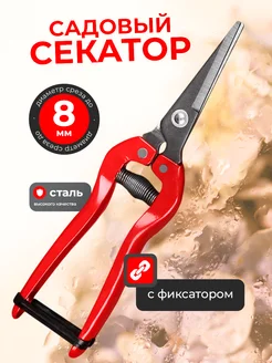 Отзыв на 