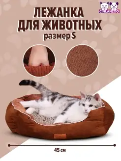 Отзыв на 