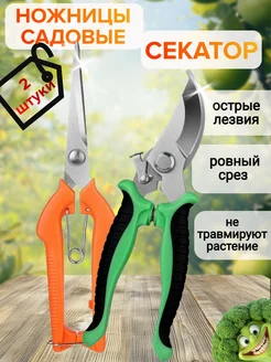 Отзыв на 