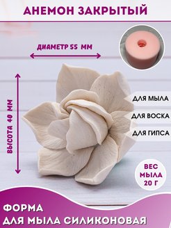 Отзыв на 