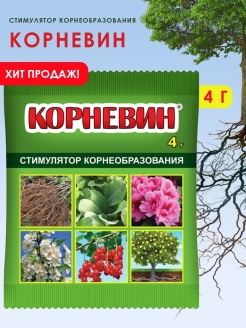 Отзыв на 