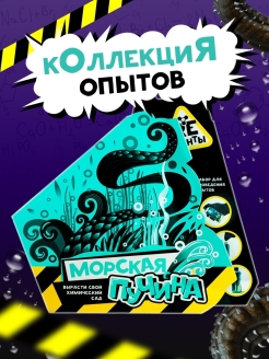 Отзыв на 