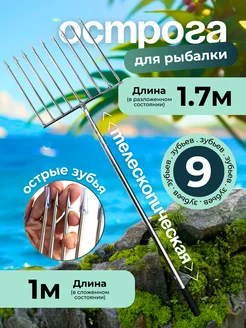 Распродажа 