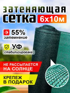Отзыв на 