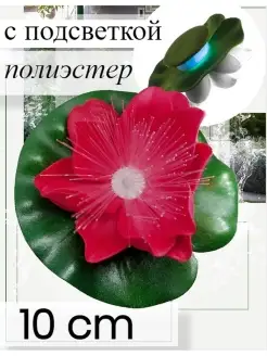Отзыв на 