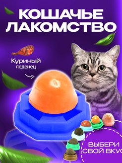Отзыв на 