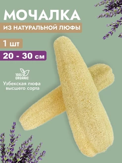 Отзыв на 