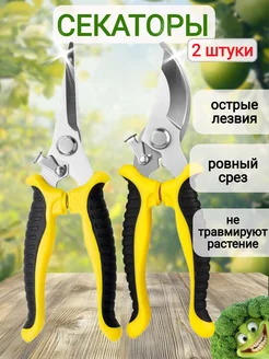 Распродажа 