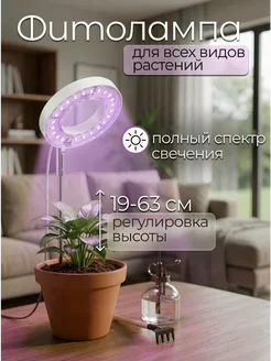 Отзыв на 