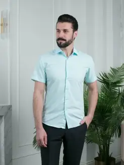Отзыв на 