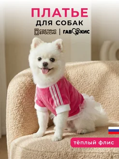 Отзыв на 
