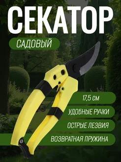 Отзыв на 