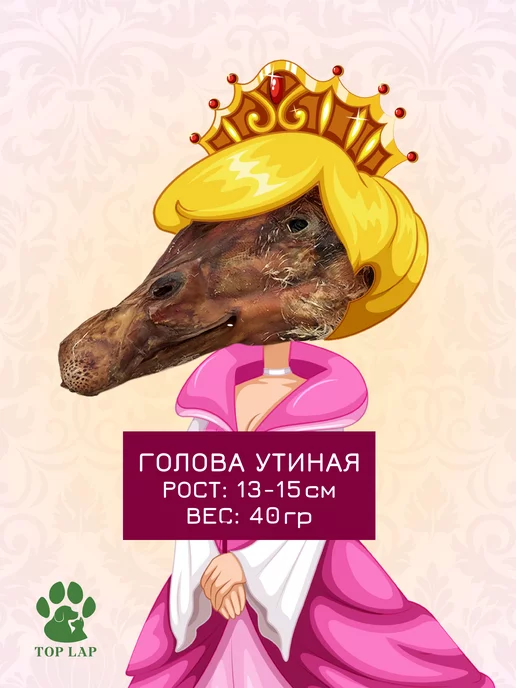 Отзыв на 