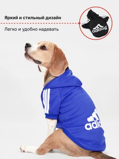 Отзыв на 