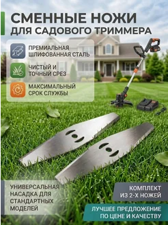 Отзыв на 