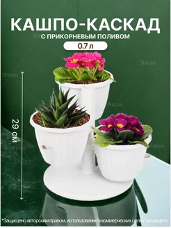 Отзыв на 
