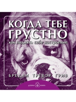 Отзыв на КОГДА ТЕБЕ ГРУСТНО... Как поднять себе настроение / Б. Т. ГРИВ / Мягкая обложка / Подарочные книги