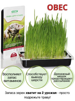 Отзыв на Трава для кошек Titbit, семена для проращивания в контейнере