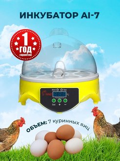 Отзыв на Инкубатор для 7 яиц AI-7 с регулировкой температуры и влажности