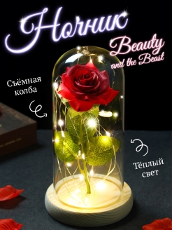Отзыв на Ночник роза в колбе Вечная в стекле Долговечная роза светильник из Красавица и Чудовище