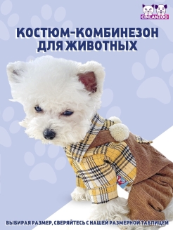 Отзыв на Костюм для собак мелких пород/для кошек/комбинезон