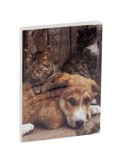 Отзыв на Фотоальбом ArtSpace, 36 фото 10х15 см., мягкая обложка, ПП карман