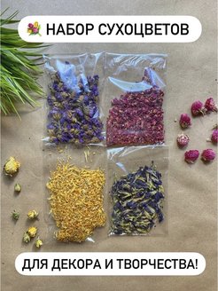 Отзыв на Сухоцветы набор сухоцветов для декора и творчества